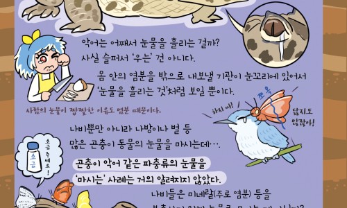 绿瘦 脂肪分解酶 有用吗网—知名的绿瘦的减肥效果网站,分享绿瘦减肥产品知识